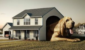 dog house for great dane