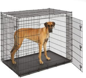 dog-crate-with-great-dane