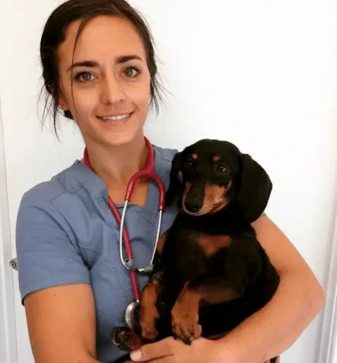 Sarah Alward | Doctor of Veterinary Medicine