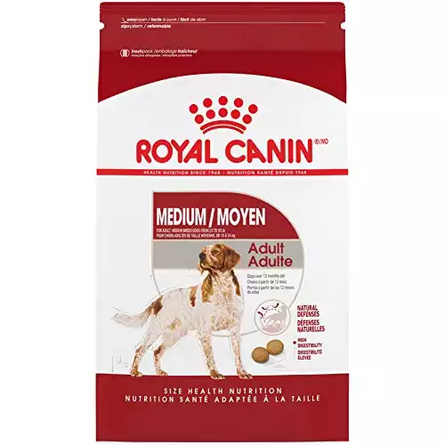 Royal Canin Medium