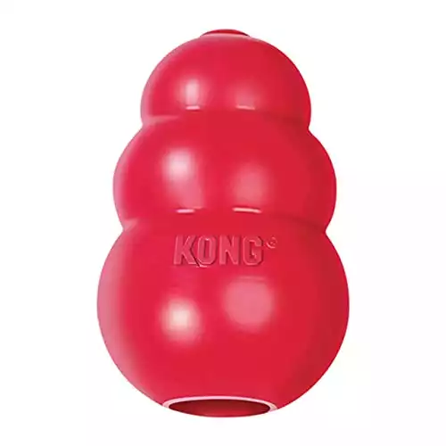 Kong Toy