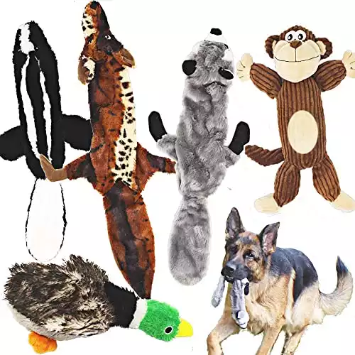Jalousie Dog Squeaky Toys