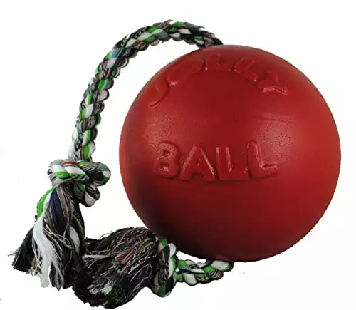 Jolly Pets Romp-n-Roll Rope and Ball Dog Toy