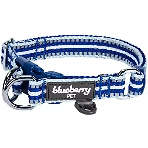 Blueberry Pet