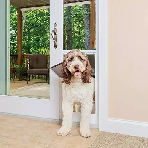 PetSafe Freedom Dog Door