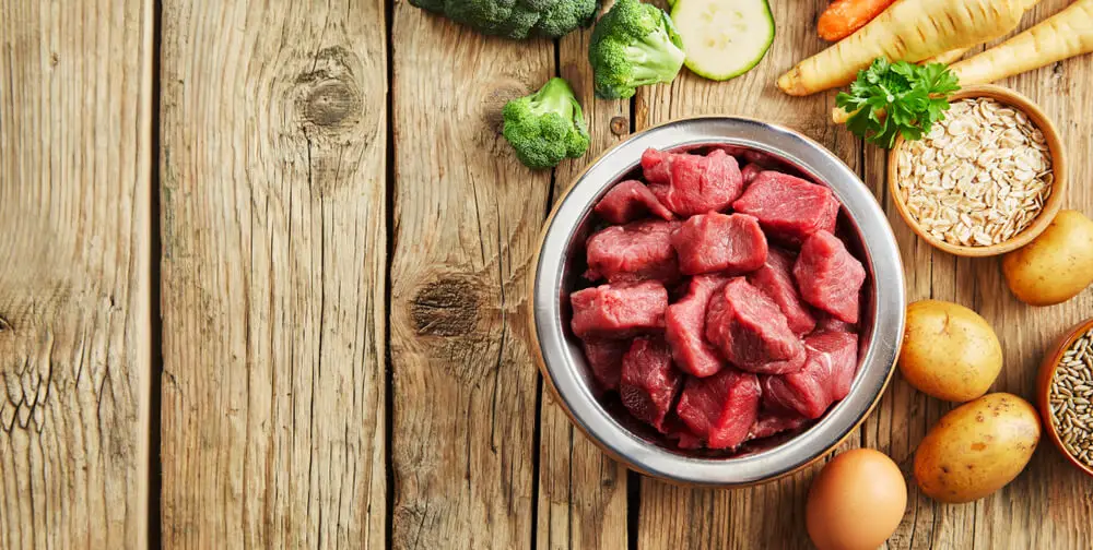 bowl-chopped-raw-meat-for-dogs