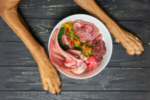 natural-raw-organic-dog-food-bowl